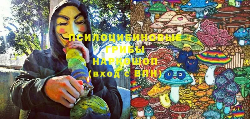 закладка  Верхний Уфалей  Псилоцибиновые грибы Magic Shrooms 